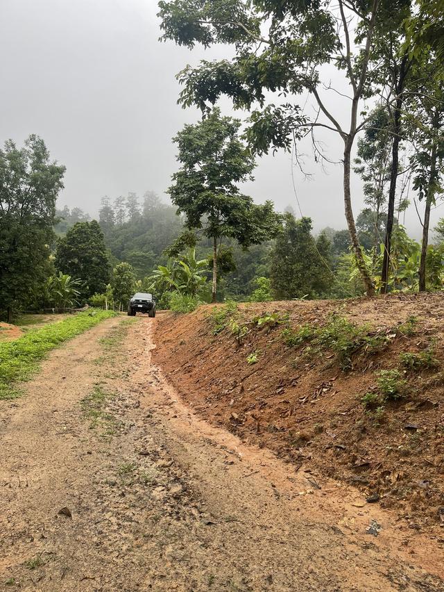 ขายที่ดินสายแม่ริม-ม่อนแจ่ม เชียงใหม่ 10