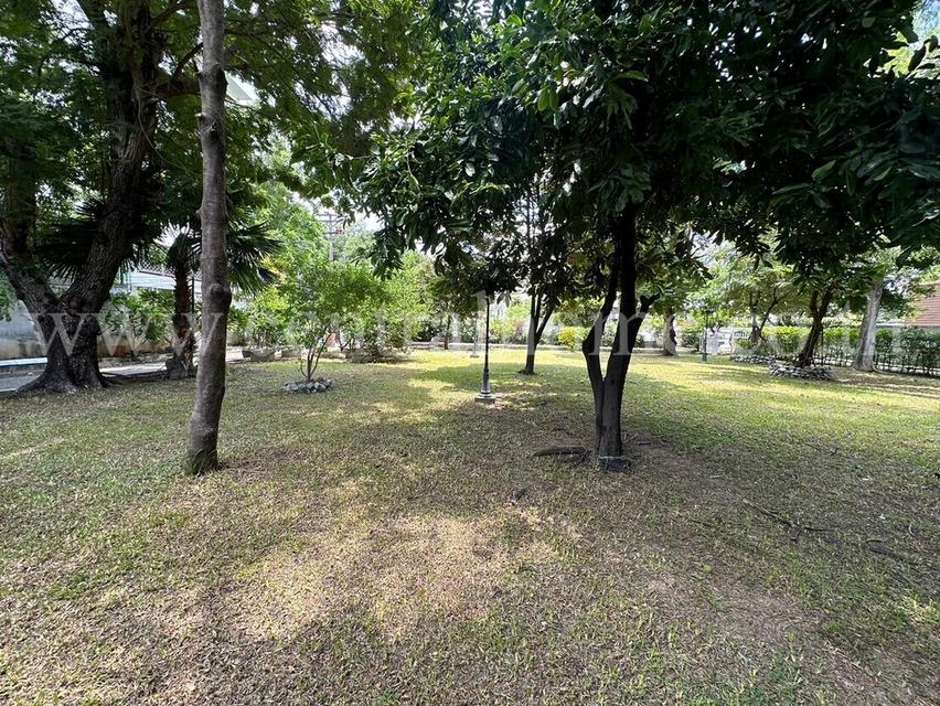 ให้เช่า ที่ดิน 249.2 ตร.วา ซอยเย็นอากาศ 3 สาทร  5