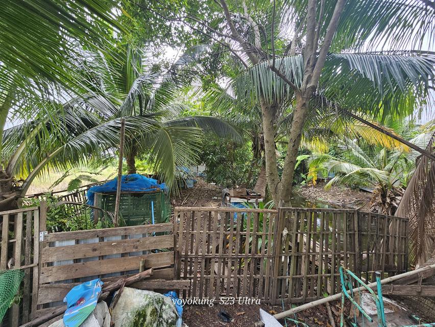 ขายที่ดิน 3-0-80 ไร่ พร้อมสิ่งปลูกสร้าง ติดถนนเลียบคลองขุนศรี ต.ไทรน้อย อ.ไทรน้อย จ.นนทบุรี 19