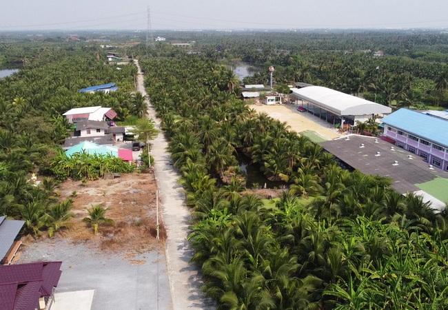 ขายที่ดิน 20 ไร่ ถนนบ้านแพ้ว ตำบลหลักสาม อำเภอบ้านแพ้ว สมุทรสาคร 6