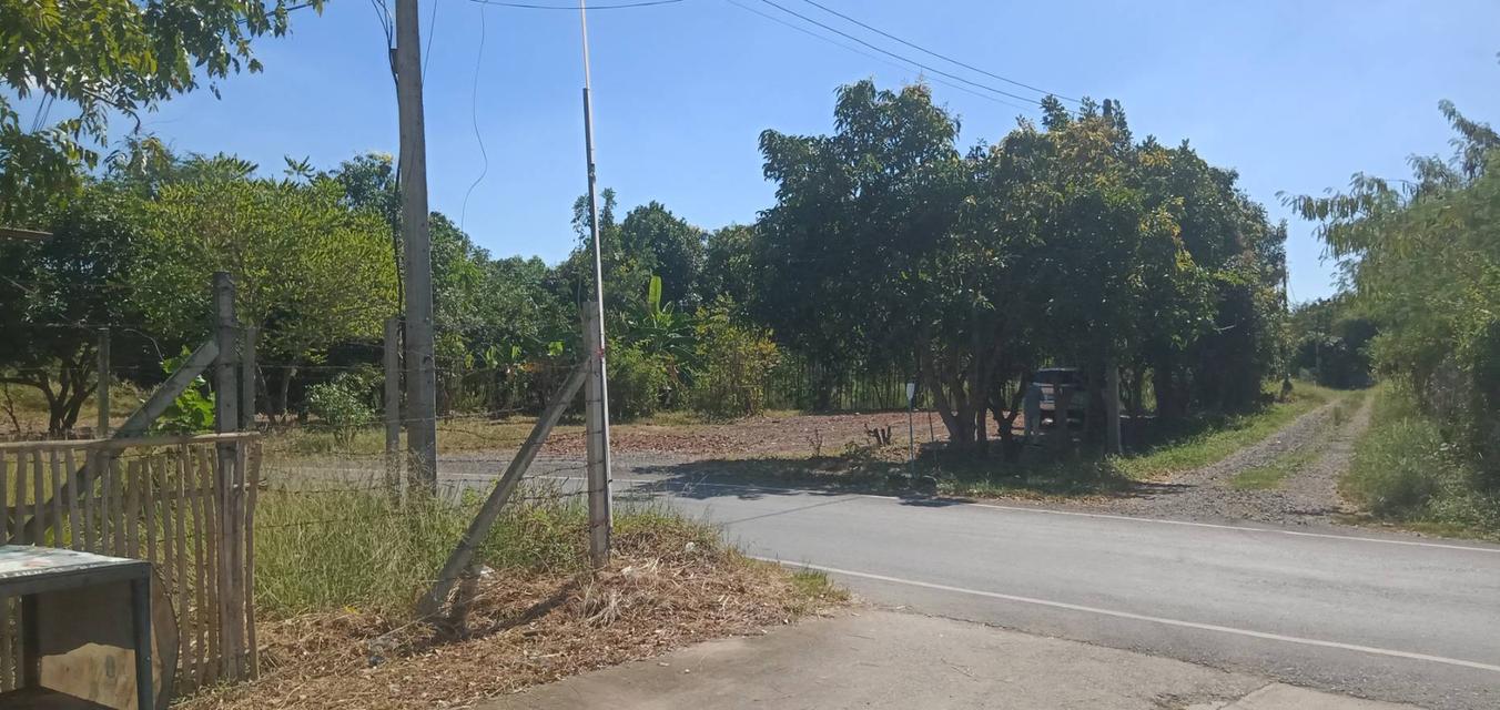 ขายที่ดินเปล่า 1 ไร่ ต.บ้านลำ อ.วิหารแดง สระบุรี หลัง รพ.วิหารแดง น้ำประปา ไฟฟ้าพร้อม บรรยากาศดี เหมาะสำหรับการพักอาศัย Tel 0818413784 4