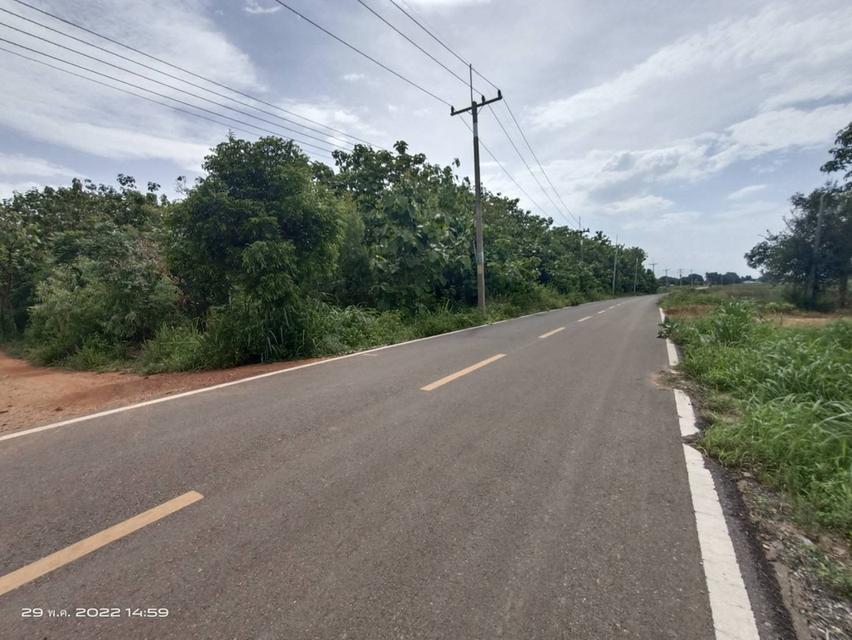 ที่ดินต้นสักทอง อ.บ่อพลอย จ.กาญจนบุรี 2