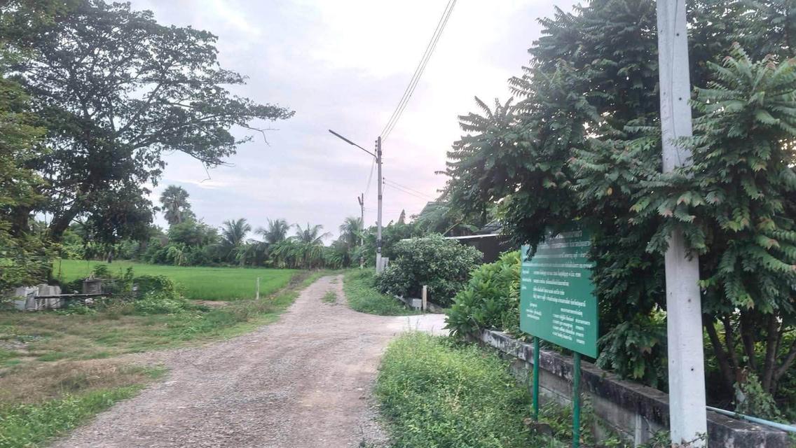 ขายด่วนที่ดิน 680 ตรว ติดถนนสาธารณะ 2 ด้าน แปลงมุม บ้านงิ้ว สามโคก ปทุมธานี 4