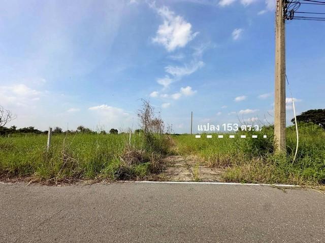 ขายที่ดินเปล่า เนื้อที่ 153 ตารางวา ซอยบึงบอน 3 ถนนเลียบคลอง 8 ตะวันออก ตำบลบึงบอน อำเภอหนองเสือ จังหวัดปทุมธานี 2