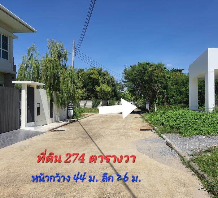 *ขายด่วน*ที่ดิน 274 ตร.ว โครงการ เอเวอร์กรีน ซิตี้ ใกล้รถไฟฟ้าMRTหลักสอง เดอะมอลล์บางแค(ต่อรองราคาได้) 1