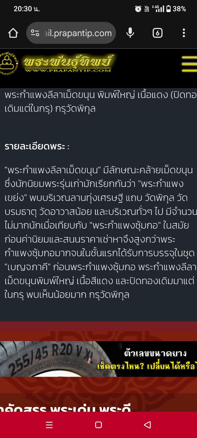 พระปางลีลาเม็ดขนุนกรุวัดพิกุล 5