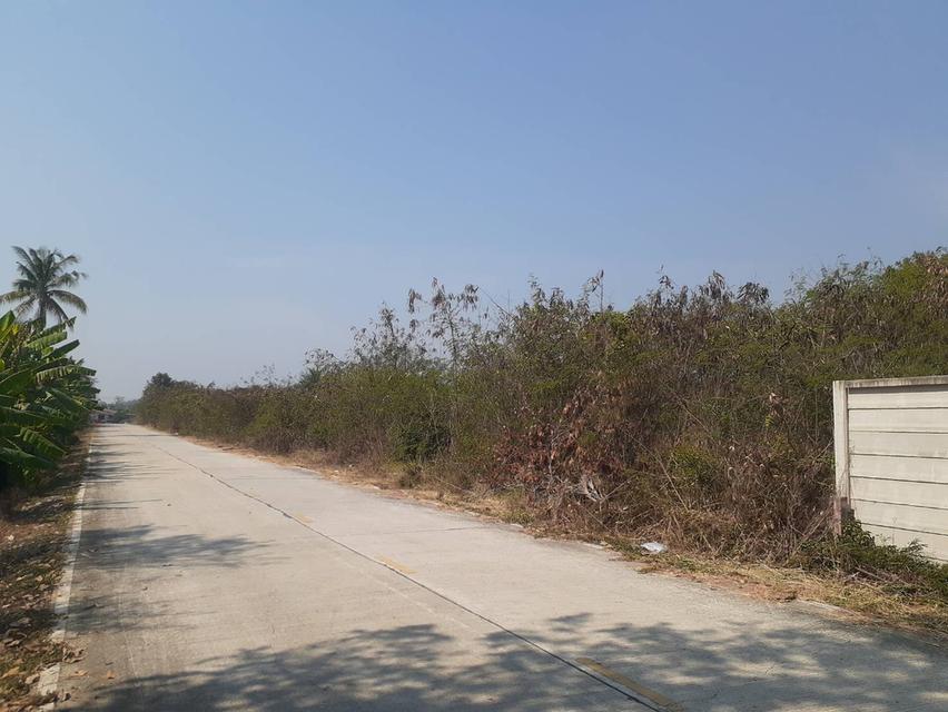 ที่ดินติดถนน2ด้านแบ่งขายอยู่ห่างอนามัยคลองโยง2 พุทธมณฑล 12