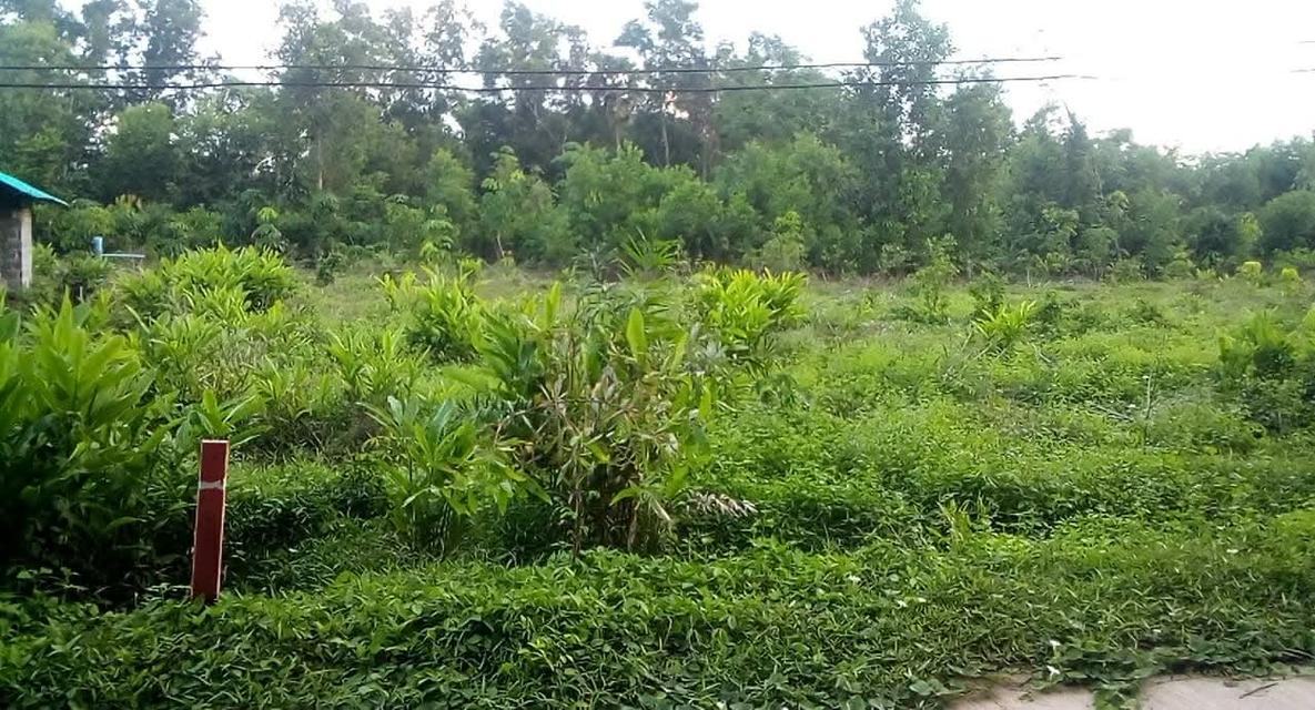 ขายที่ดิน 1 งาน ต.ซากพง อ.แกลง จ.ระยอง ราคาเพียง 500,000 บาท 5