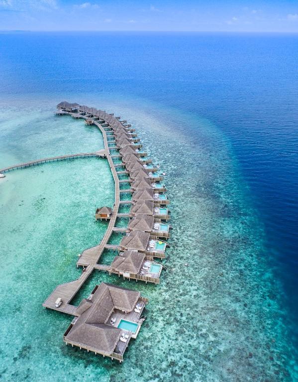 Dusit Thani Maldives ห้องพักกลางน้ำ มีสระว่ายน้ำ 4 วัน 3 คืน เริ่มต้น 76,400 บาทต่อท่าน 3