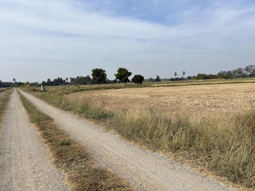 ที่ดินทำการเกษตร ไม่มีสิ่งปลูกสร้าง 2