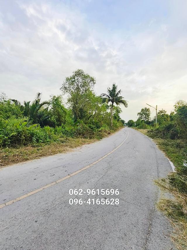 อสังหาริมทรัพย์ ที่ดิน 4