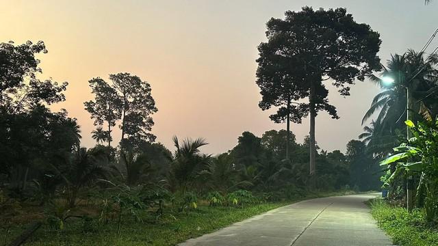 ขายที่ดินติดทะเล ฝั่งแดง ประจวบ บางสะพานน้อย สวยมากแปลงนี้ ขายถูกสุดในย่านนี้ ไร่ละ 2.6 ล้านบาท 2