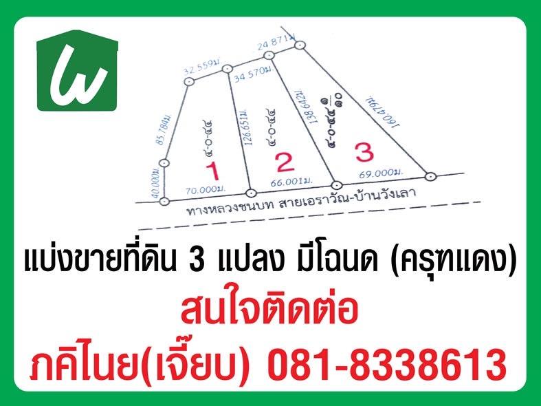 ที่ดิน 1