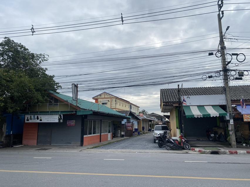 ที่ดิน 4