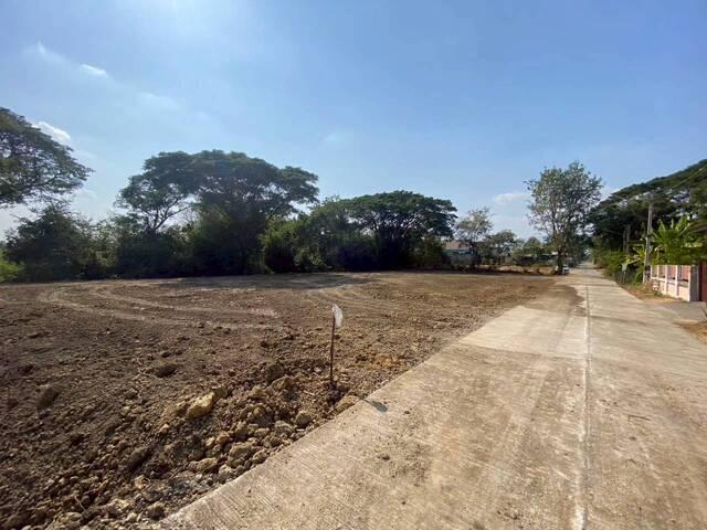 ขายที่ดิน 3 แปลงรวม 340 ตร.วา ราคา ตร.วาละ 12,000 บาท เมืองเพชรบูรณ์ 10