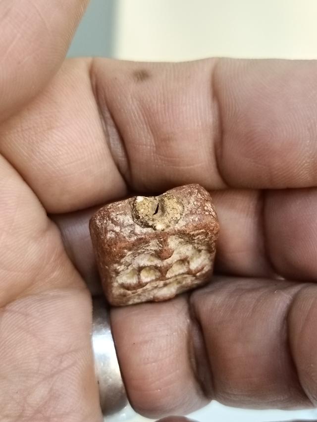 พระหลวงพ่อปาน พิมพ์ขี่นก 9