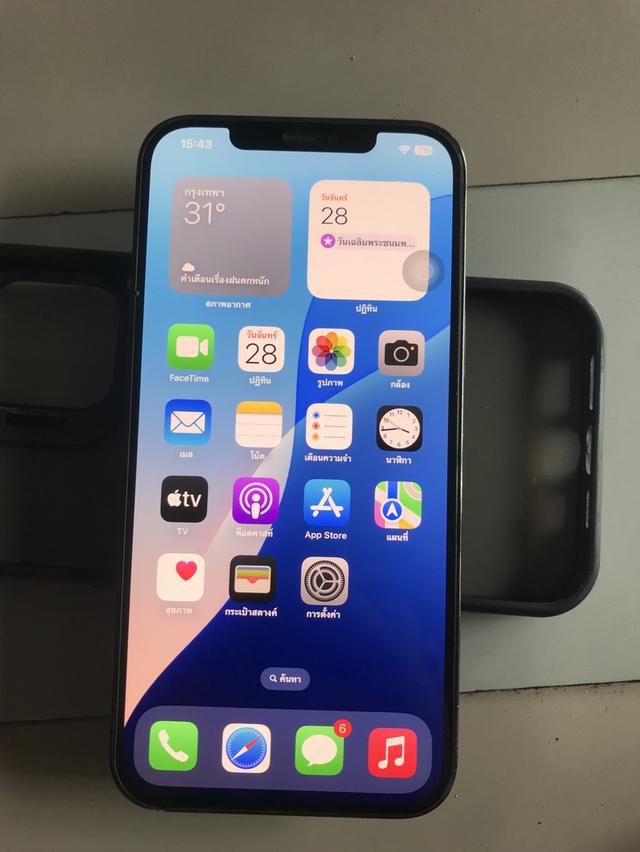 IPHONE 12 Pro Max