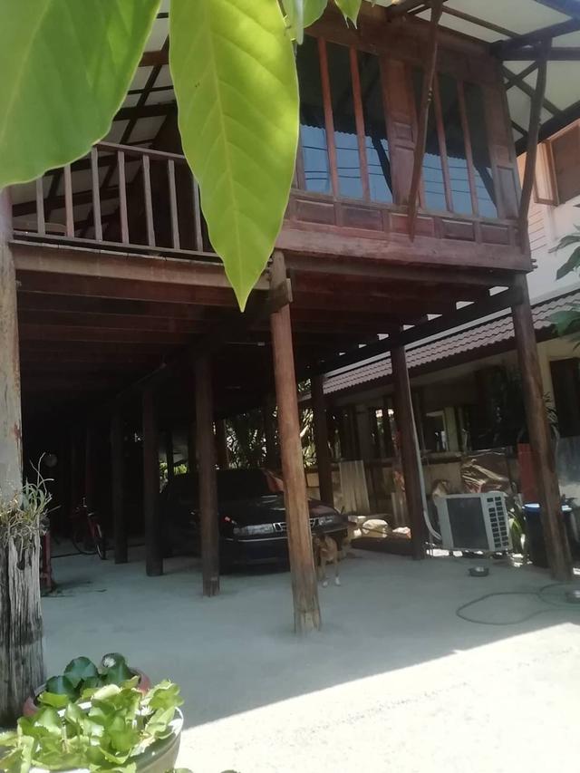 รูป ขายที่ดิน พร้อมบ้านทรงไทย สุขุมวิท 103 (อุดมสุข) ใกล้ BTS 2