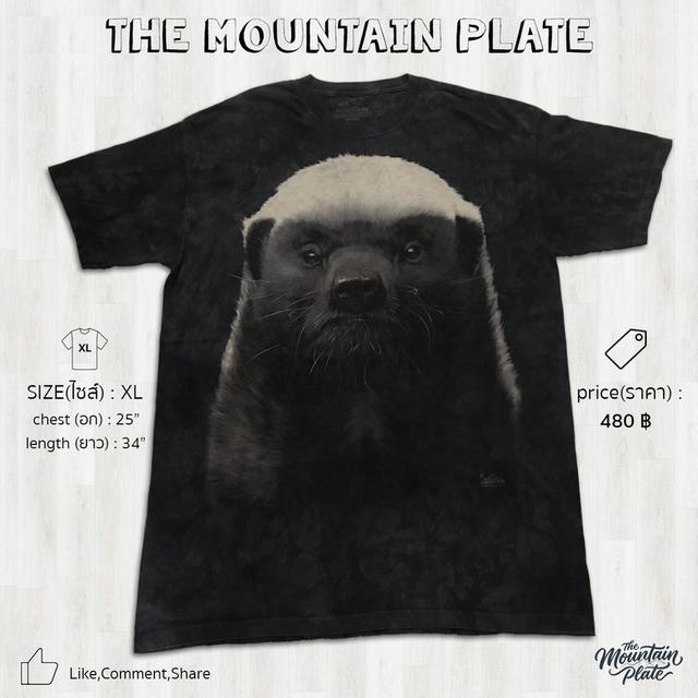 เสื้อยืด The Mountain