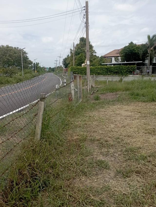 ขายที่ดินสวยติดถนนพร้อมโฉนด 3