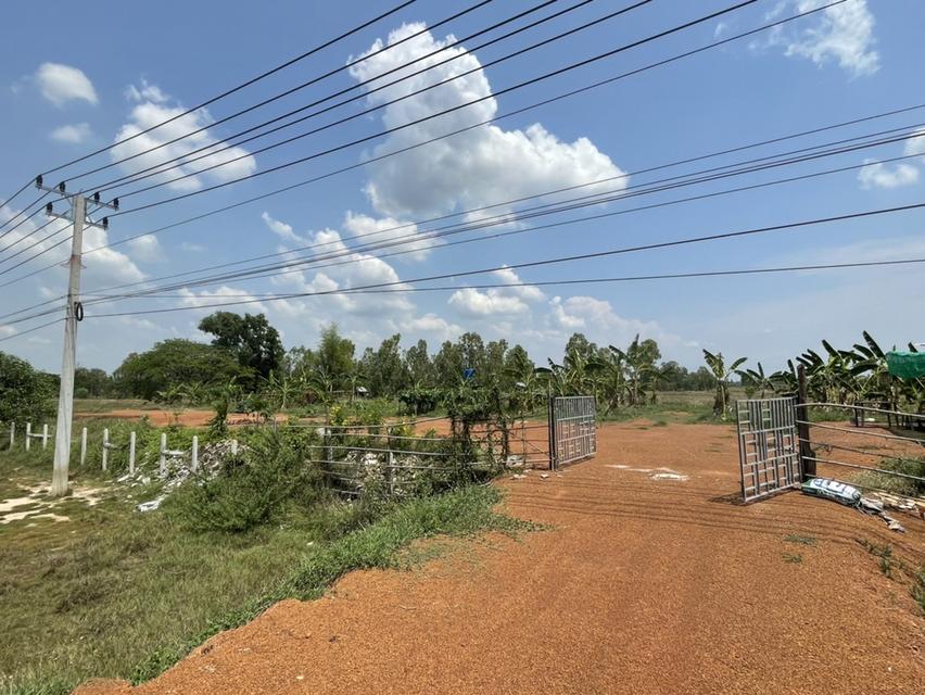 ขายที่ดินติดถนนใหญ่ ใกล้ ม.เกษตร สกลนคร 6