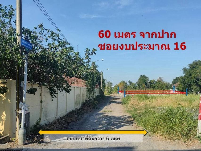 ขายที่ดินติวานนท์34 ปากเกร็ด นนทบุรี 300 ตรว แปลงสวย ติวานนท์-ปากเกร็ด 4