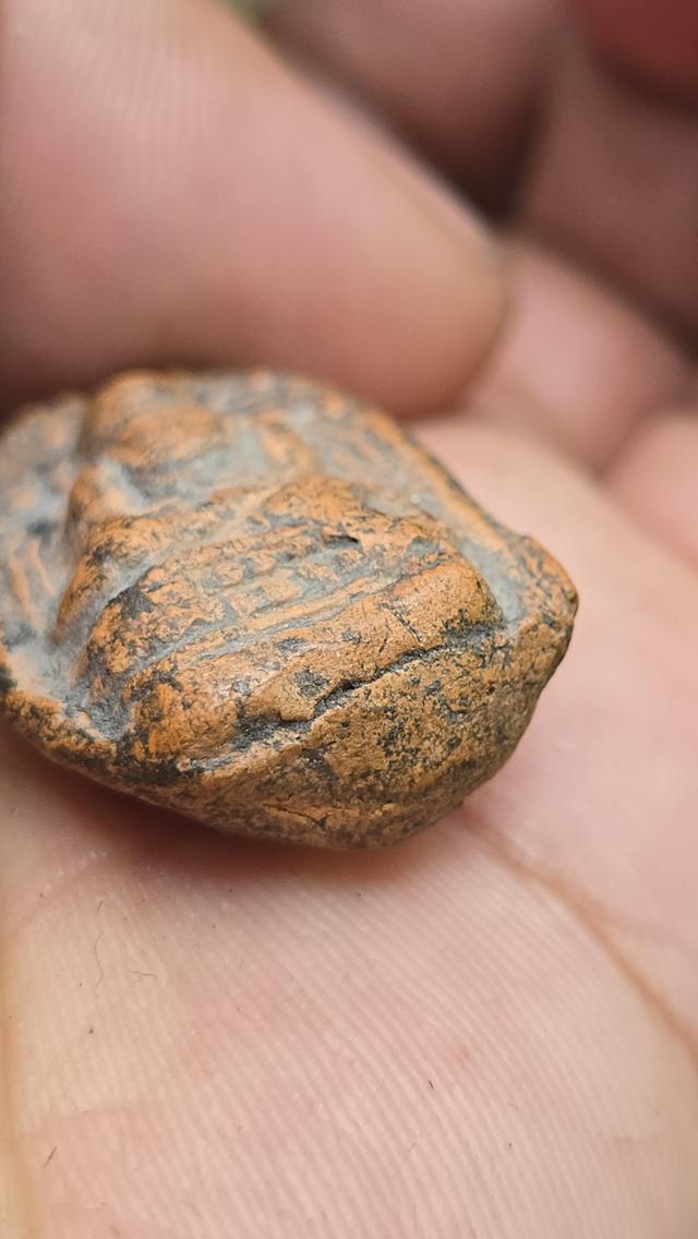 พระคงกรุช้างค้ำ เชียงใหม่ 5