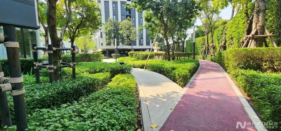 69010068 : ขายห้องชุดพักอาศัย แบบ 1 ห้องนอน พื้นที่ขนาด 36.12 ตรม. ASPIRE สุขุมวิท-อ่อนนุช คุ้มค่า น่าอยู่ กระเป๋าใบเดียวเข้าอยู่ได้เลย กู้ได้ 100% 17