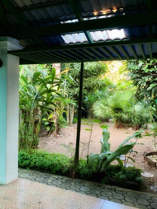 บ้านชั้นเดียวสไตล์รีสอร์ท บรรยากาศร่มรื่น ใกล้เมืองเชียงใหม่ 18