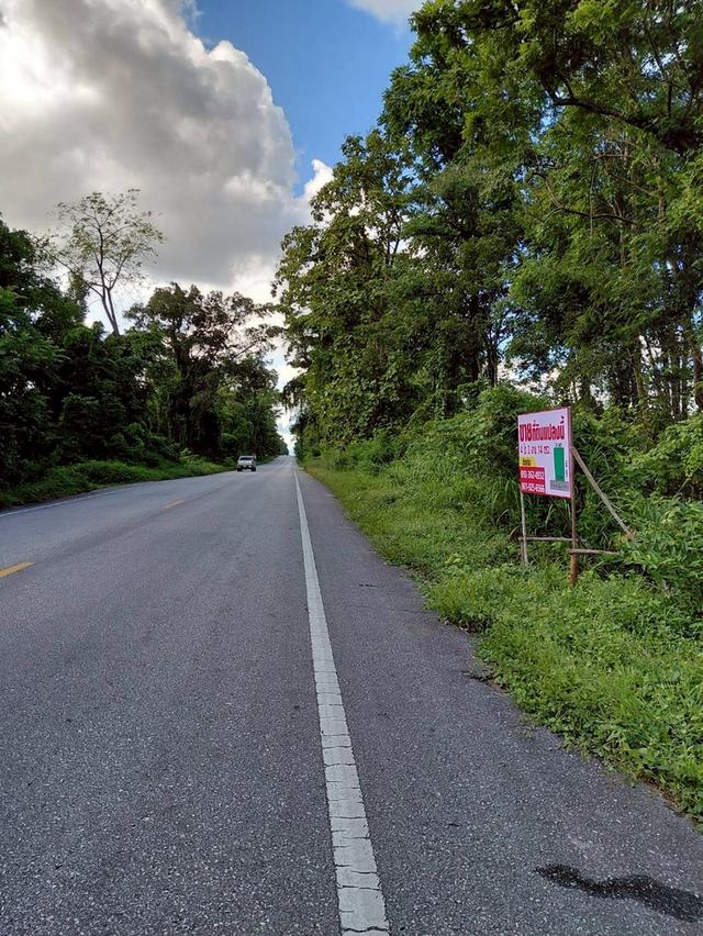 ขายที่ดิน 4 ไร่ครึ่งจังหวัดตาก 7