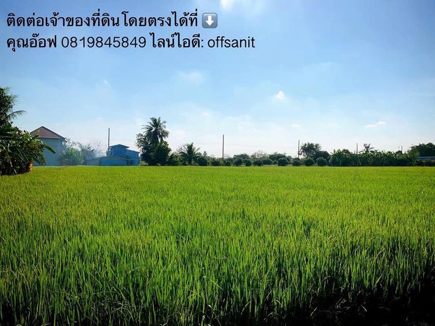 ขายที่ดิน 15 ไ่ร่ ไทรน้อย  5