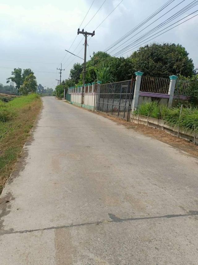 ขายที่ดินสวยถมแล้ว 209 ตรว. พร้อมโฉนด ทำเลดี เดินทางสะดวก บ้านท้ายลาด ลพบุรี ( เจ้าของขายเอง ) 9