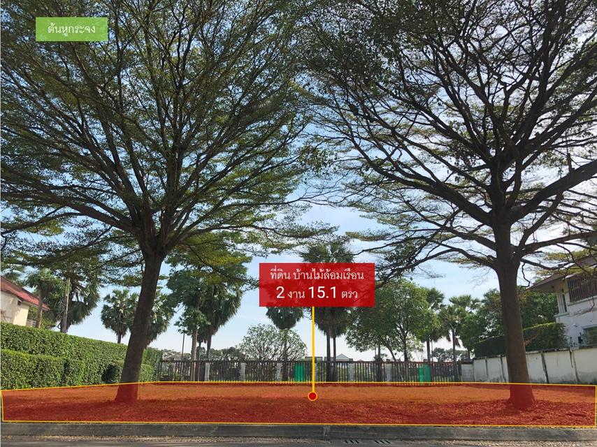 ขายที่ดิน บ้านไม้ล้อมเรือน/พร้อมพันธุ์ ปาร์ค (215 ตรว.) แปลงมุมสุดท้าย วิวสวยที่สุดในโครงการ 4