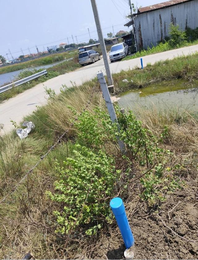 ที่ดิน ซอยสร้อยทอง ประชาอุทิศ90 6