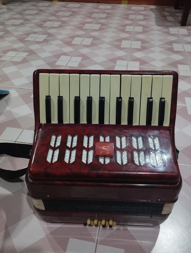 Accordian brand baile