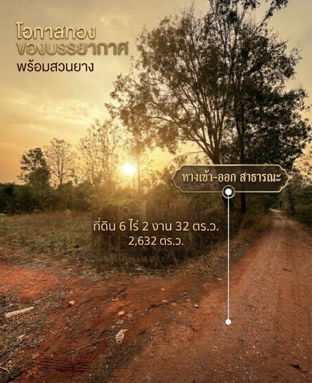 ขายที่ดินสวนยางพารา อำเภอพาน จังหวัดเชียงราย พร้อมทำประโยชน์ต่อได้ทันที 8