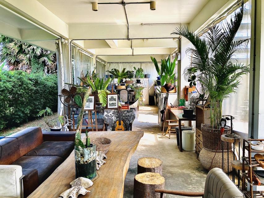 ขาย บ้านเดี่ยว ทวีวัฒนา25 ทรงกล่องโมเดิร์น สถาปนิกออกแบบเอง 89ตรว พร้อม Rooftop ติดคลอง บรรยากาศดี ใกล้ ม.มหิดล เหมาะเป็ 4