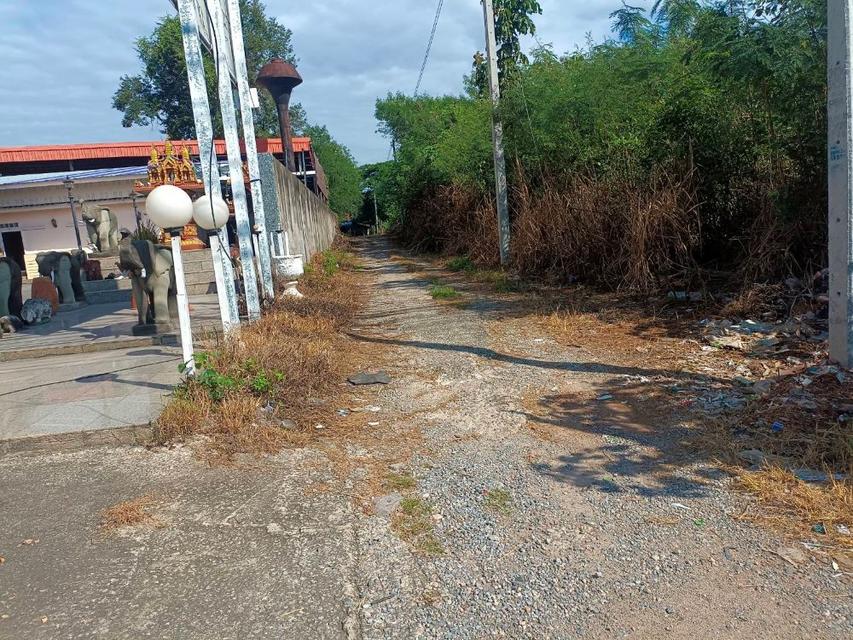 ขายที่ดินเปล่า ทำเลดี เดินทางสะดวก มีไฟเข้าถึง ต.ปากช่อง อ.ปากช่อง จ.นครราชสีมา 7