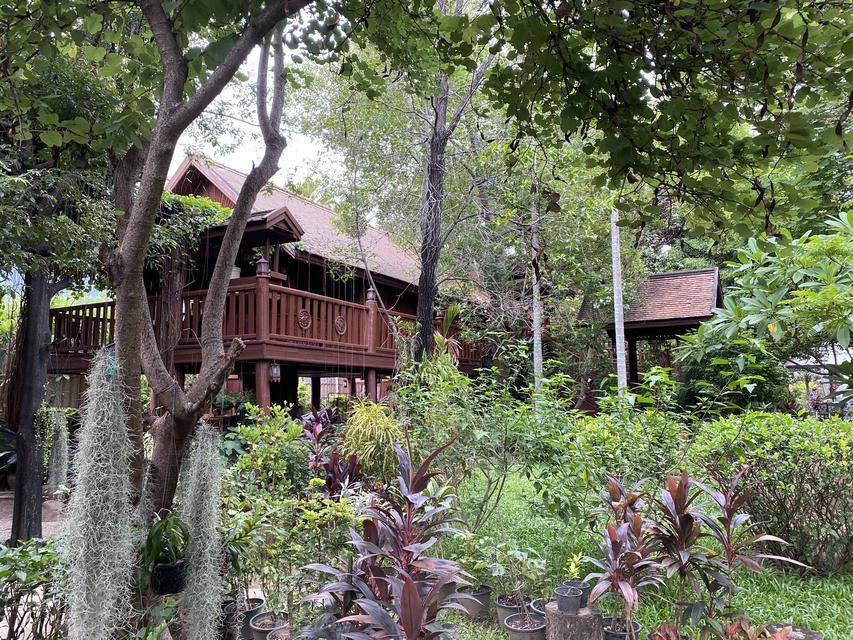  Villa Chiang Mai Room for long term rental Resort by the Ping River Modern Lanna style building 2