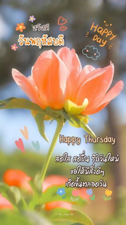 อพาร์ทเม้น ห้อง 134