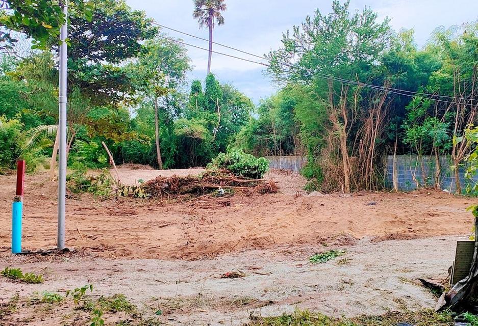 ขายที่ดินบ้านปึก 167 ตรว. ซอยมิตรสัมพันธ์15 ใกล้จุดชมวิวเขาสามมุก-4.5กม. เมืองชลบุรี 2