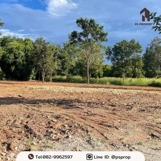 ขายที่ดินทำเลสวย 2 แปลง ต.บางพระ อ.ศรีราชา จ.ชลบุรี อยู่ติดกับร้านอาหารสวนเขาพุ