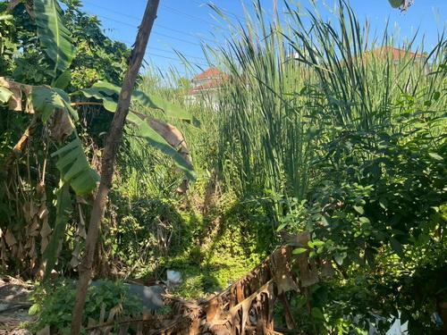 ขายที่ดินเปล่า 119 ตร.ว.ซอยคลองหลวง33 ต.คลองหนึ่ง อ.คลองหลวง จ.ปทุมธานี 14