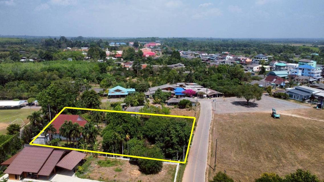 ขาย ที่ดินพร้อมบ้าน 1-0-10 ไร่ ต. กร่ำ อ.แกลง จ. ระยอง 4