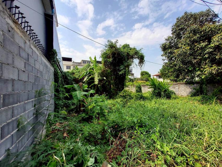 ขายถูกที่ดิน 111 ตรว ติดถนนคอนกรีตสาธารณะ  ถมแล้ว ซ.ติวานนท์-ปากเกร็ด 27 อ.ปากเกร็ด จ.นนทบุรี 5