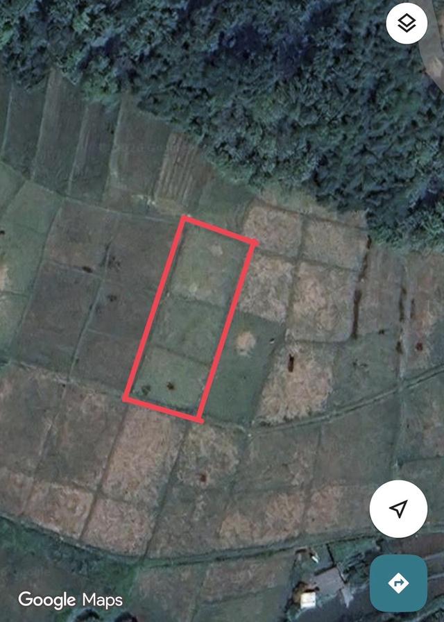 ที่ดิน(ที่นามีโฉนดครุฑแดง) 7