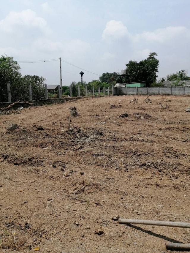 ให้เช่า ที่ดิน คลอง 10 ลำลูกกา 7 ไร่ 2 งาน 66 ตร.วา ทำเลดี ติดถนนลำลูกกา เหมาะทำการค้า โกดัง ปั๊มน้ำมัน 3