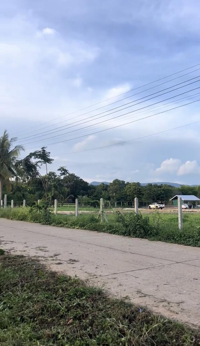 ขายที่ดิน1ไร่ ต.หนองกี่ อ.กบินทร์บุรี ติดถนนคอนกรีตรอบแปลง มีไฟฟ้า น้ำ 2