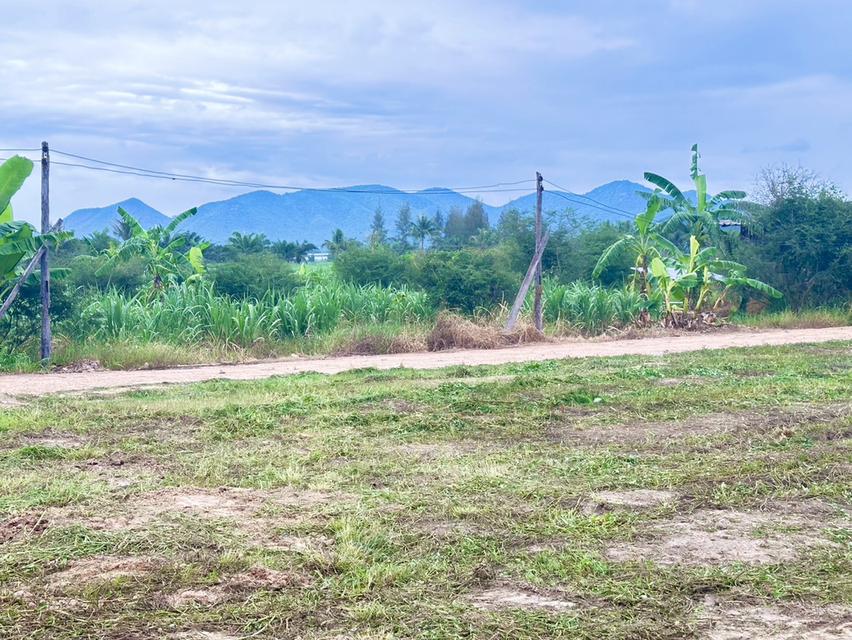 ที่ดิน ชะอำ เพชรบุรี ไร่ละ 6แสนบาท ขายยก 3-2-58 ไร่  16