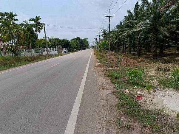 ขายที่ดิน 5ไร่เศษ ระยอง แกลง ติดชุมชน ติดถนนสองด้าน 1